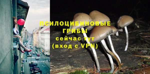mix Баксан